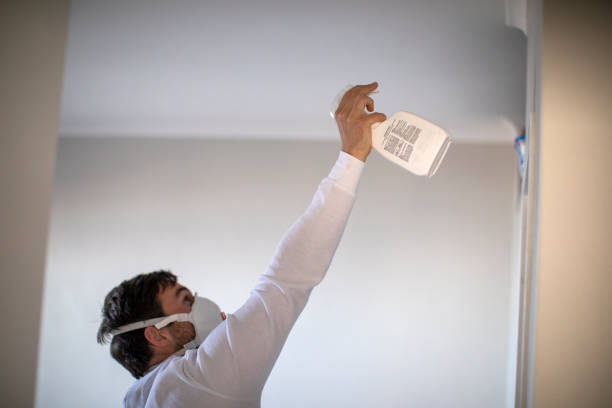Office Mold Removal Services in Platte City, MO
