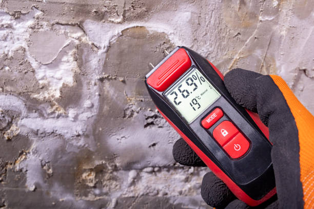 Best Black Mold Removal  in Platte City, MO